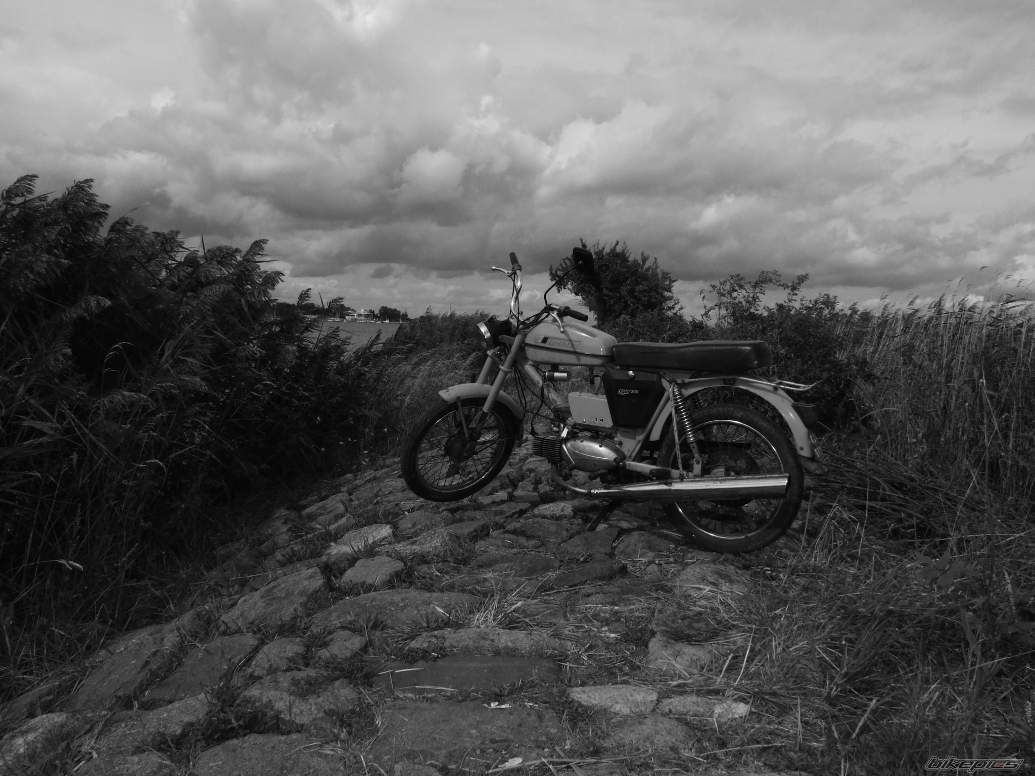 Photo 1142540