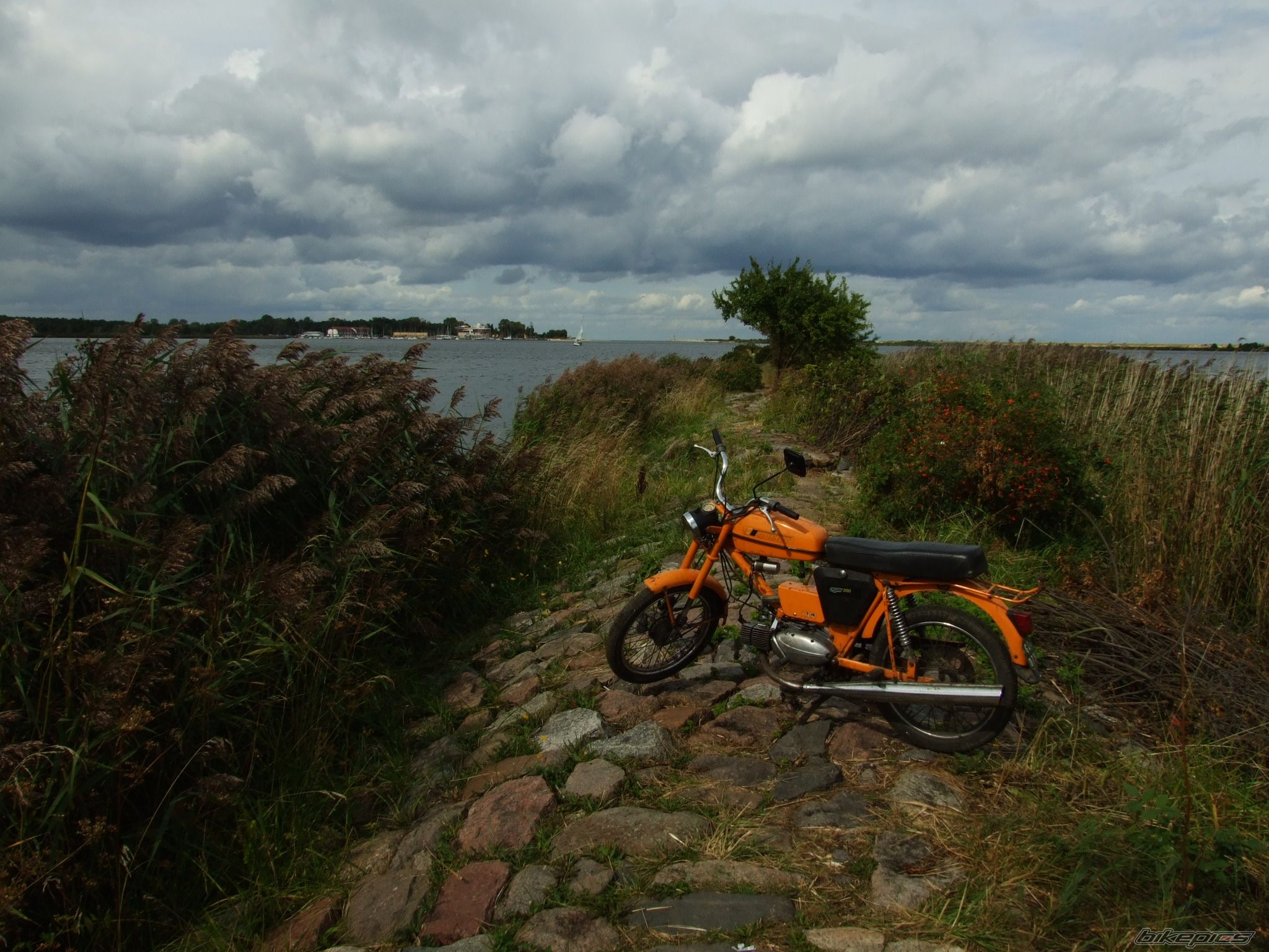 Photo 1142541