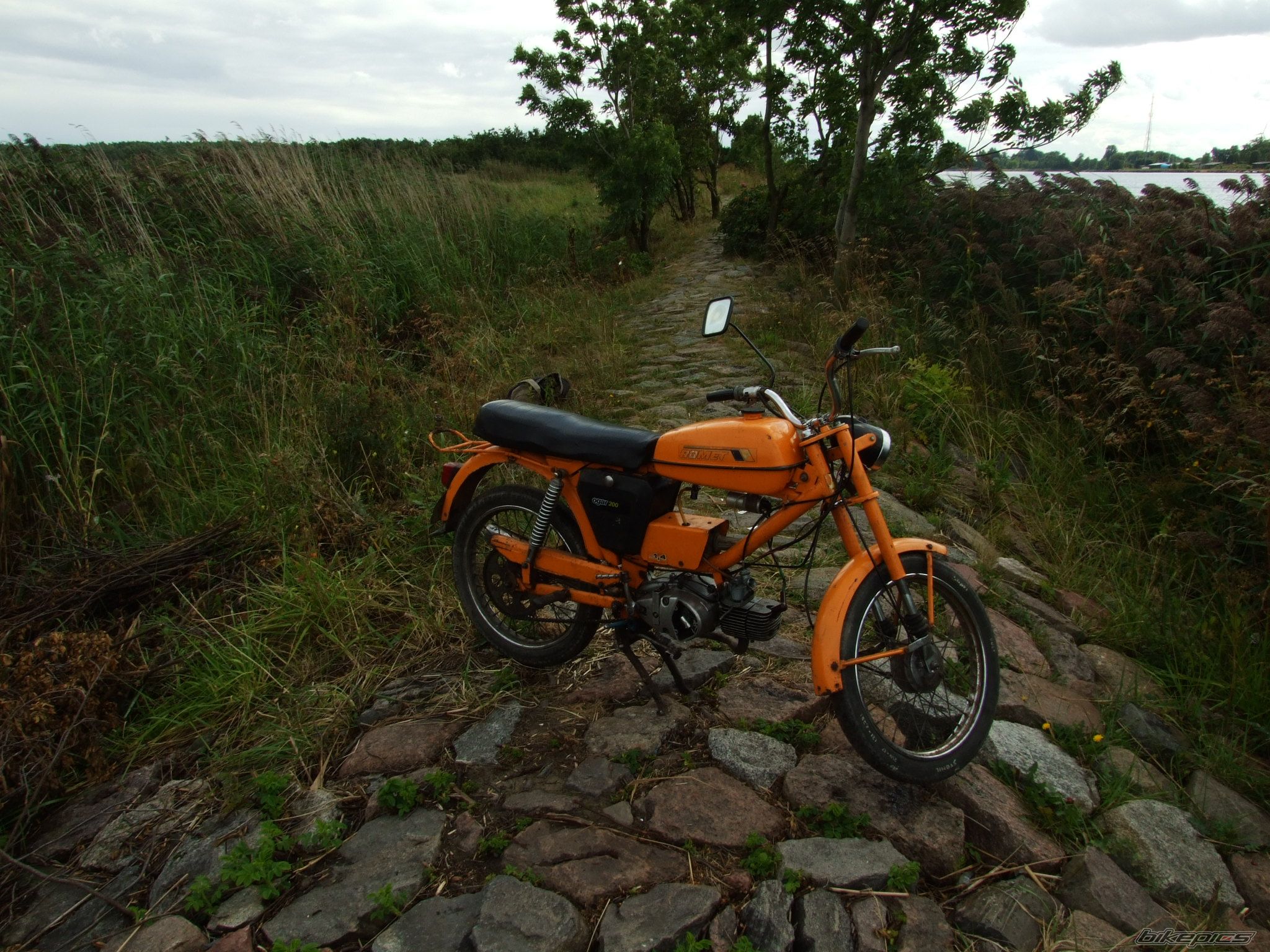 Photo 1142546