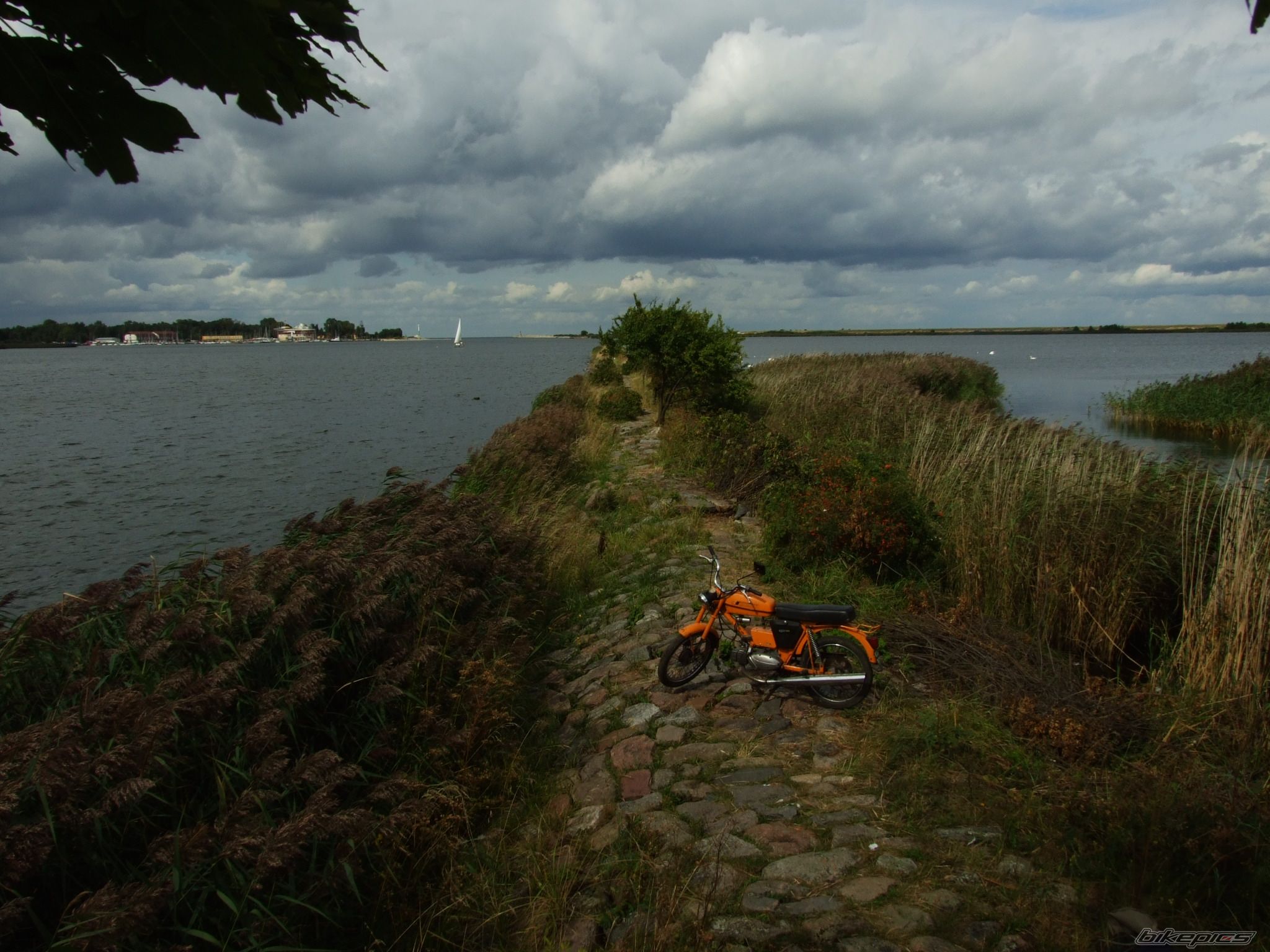 Photo 1142548