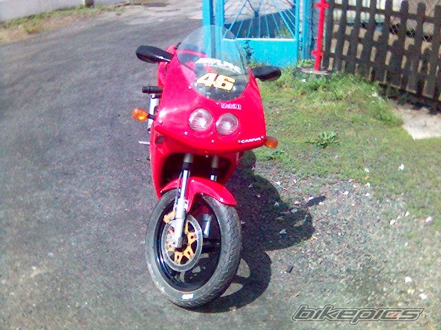 Photo 1142568