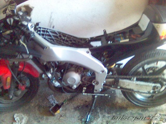 Photo 1142580