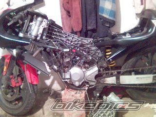 Bike Photo 1142588