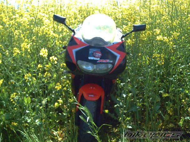 Photo 1142610