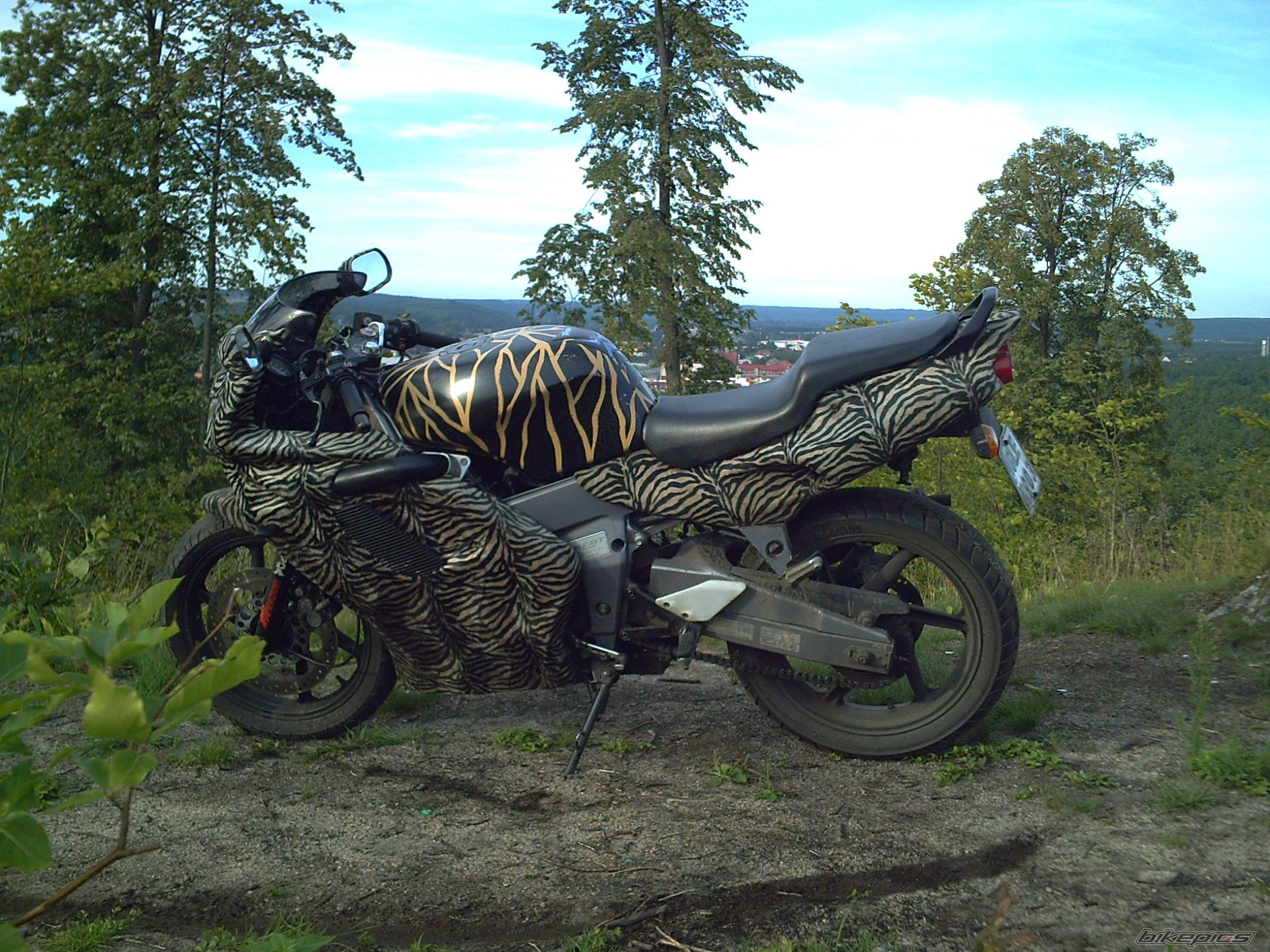Photo 1142646