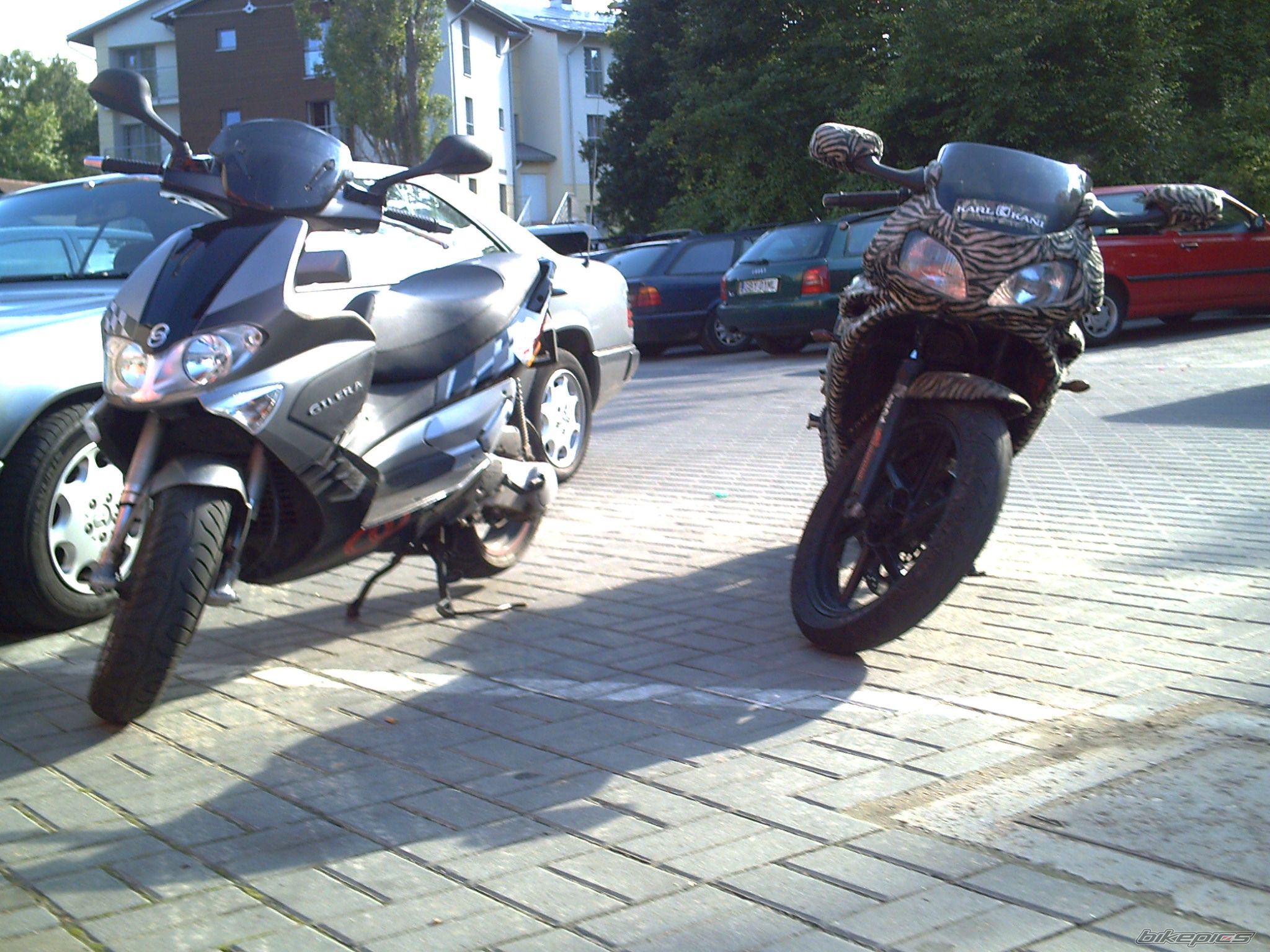 Photo 1142648
