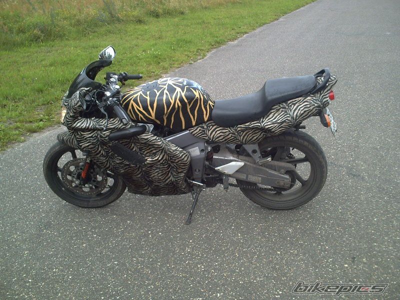Photo 1142651