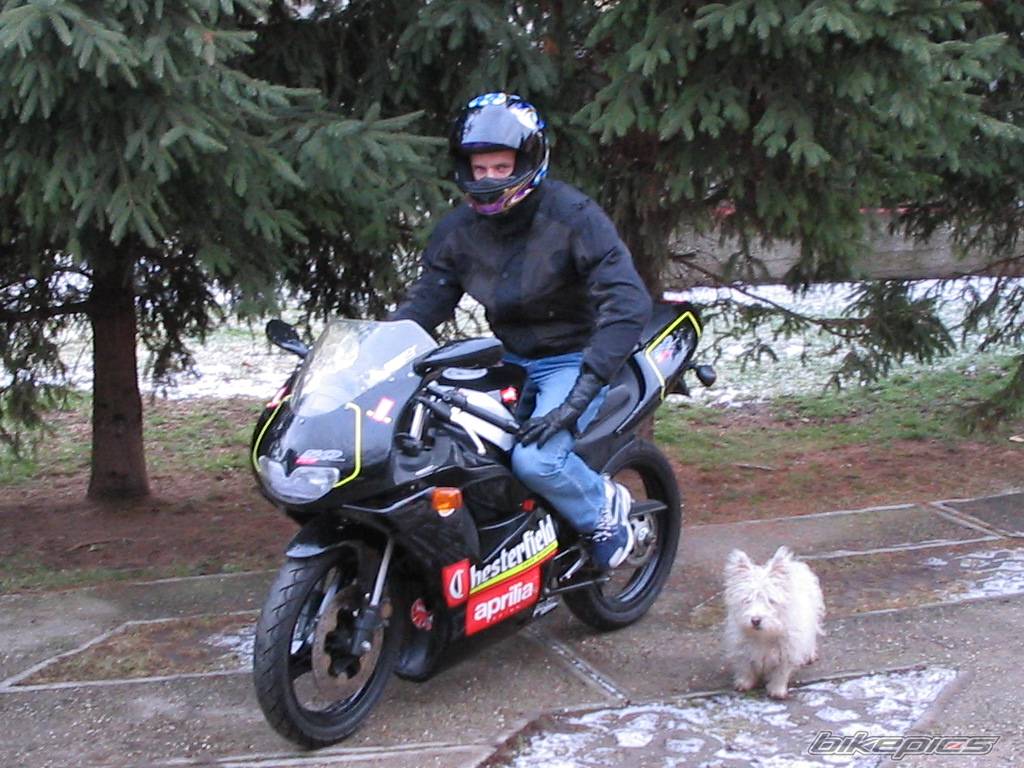 Photo 114267