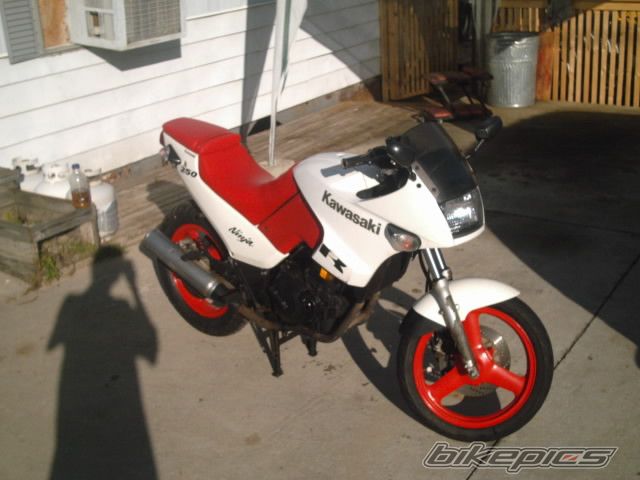 Photo 1142738