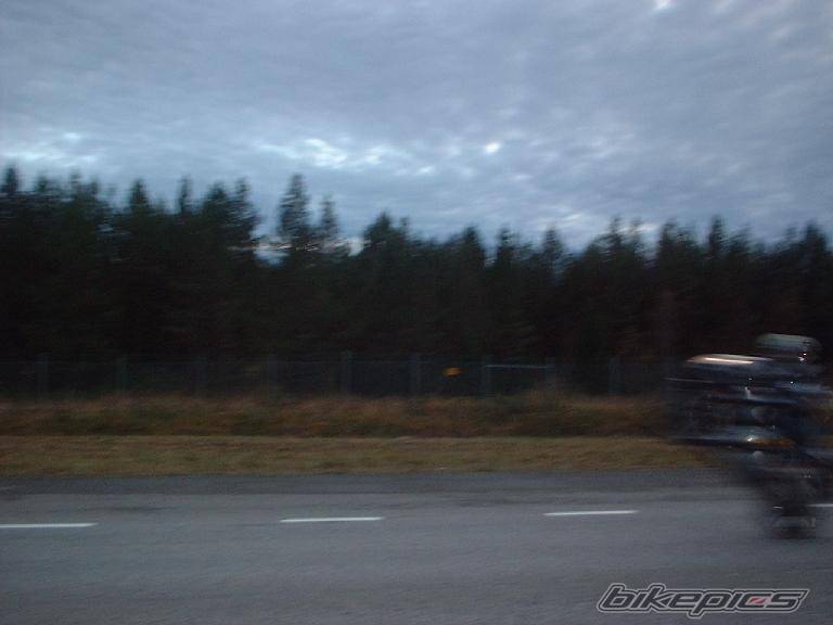 Photo 11428