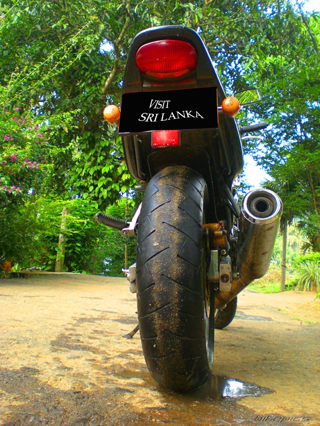 Bike Photo 1142845