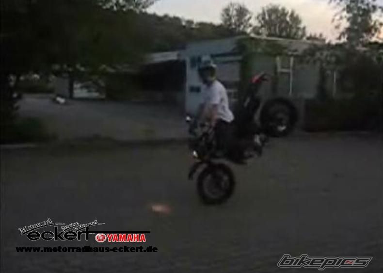 Photo 1142862