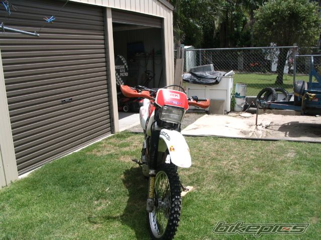 Photo 1142878