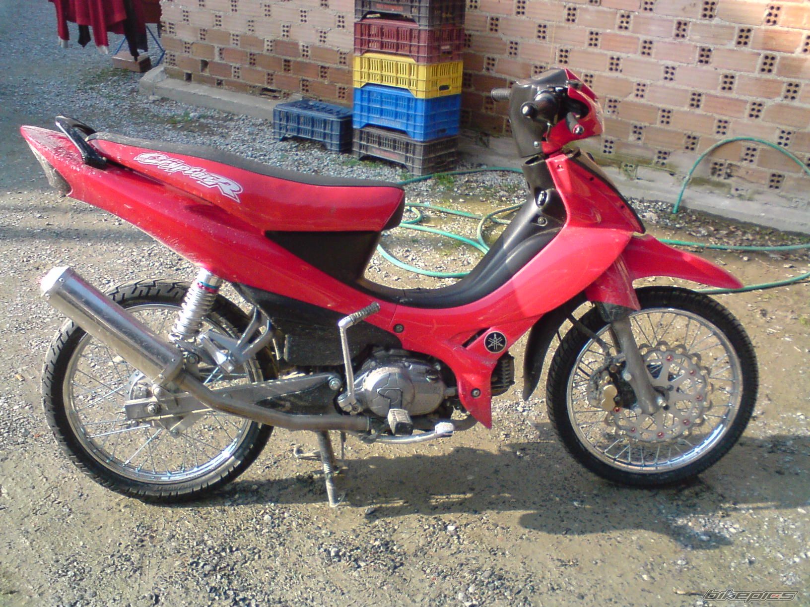 Photo 1142892