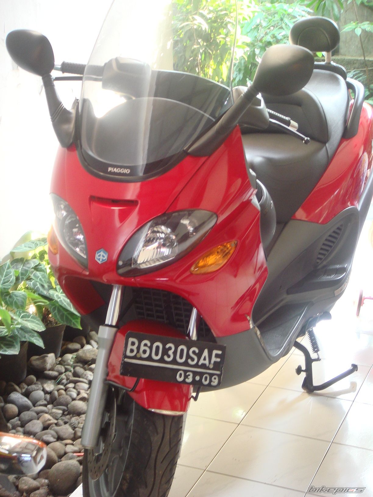 Photo 1142929