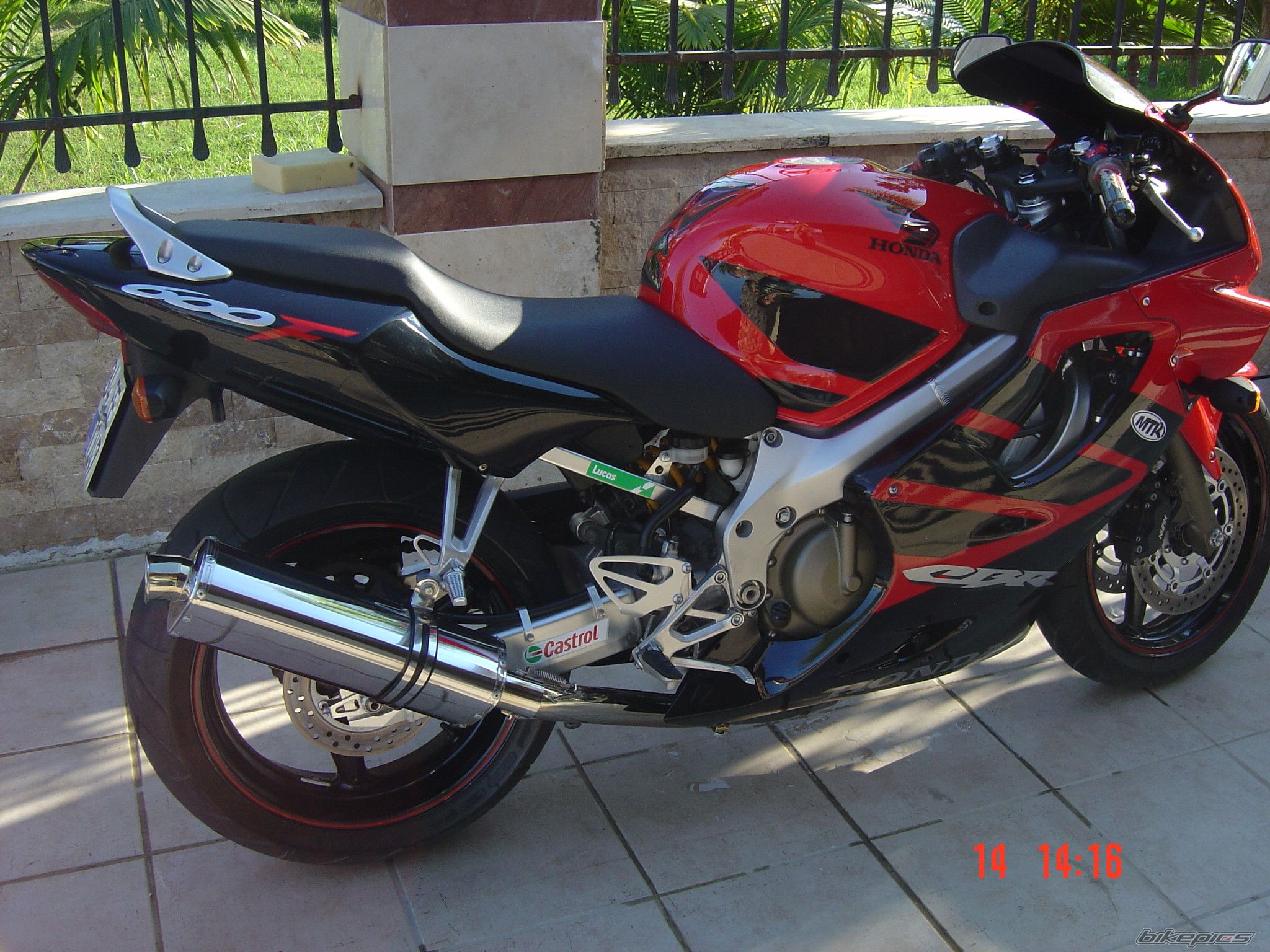 Photo 1142940