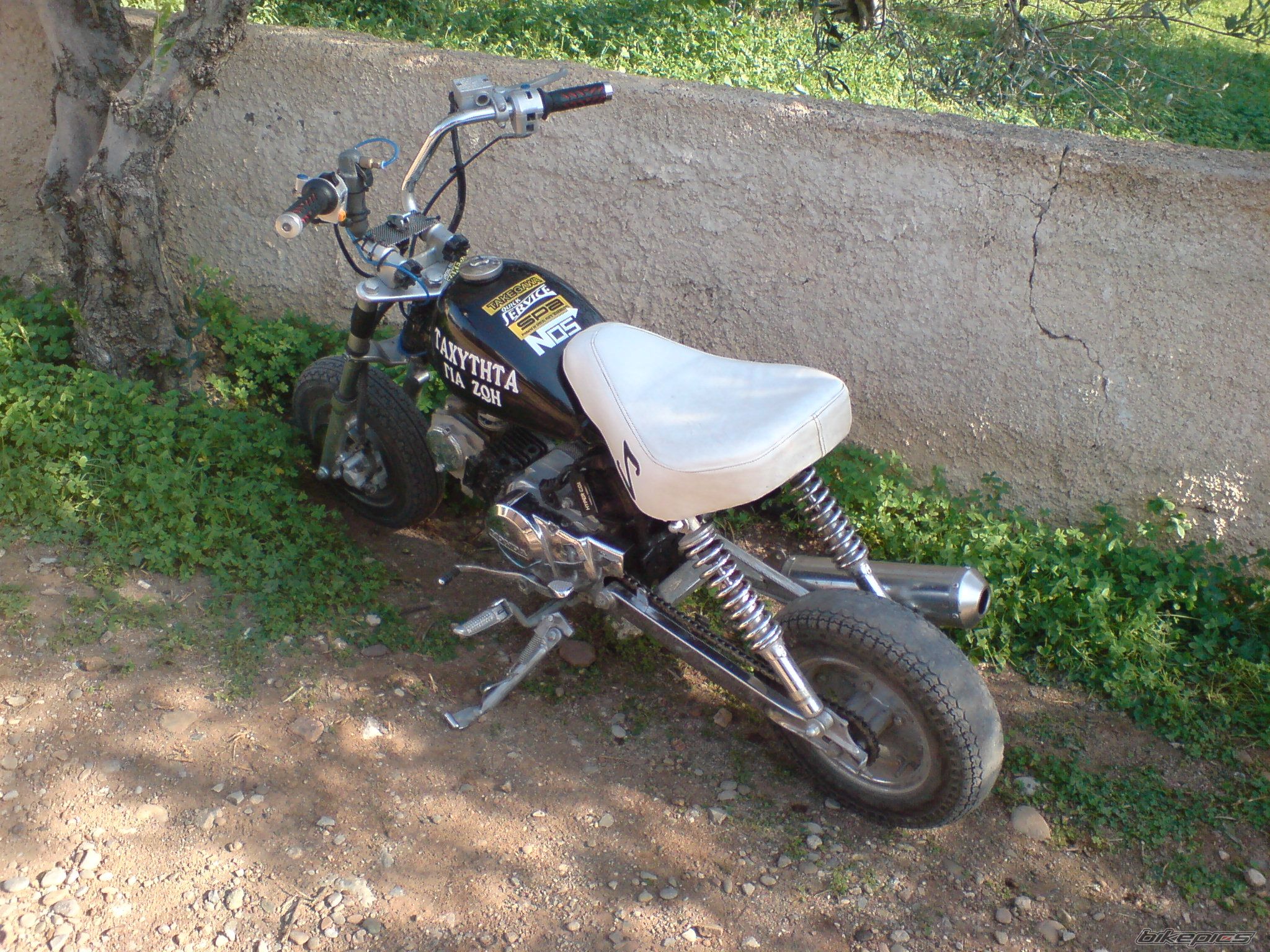 Photo 1143140