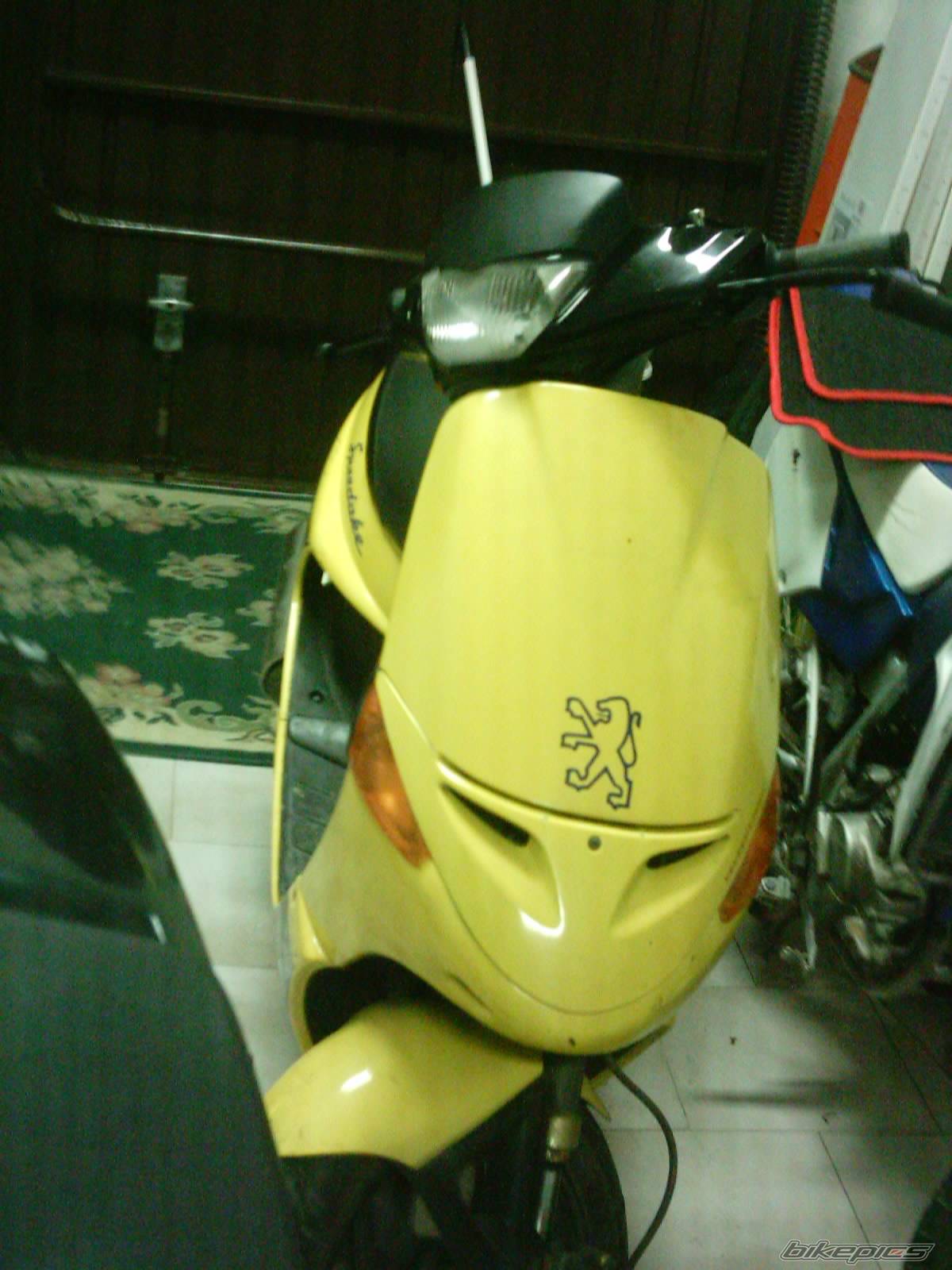Photo 114320