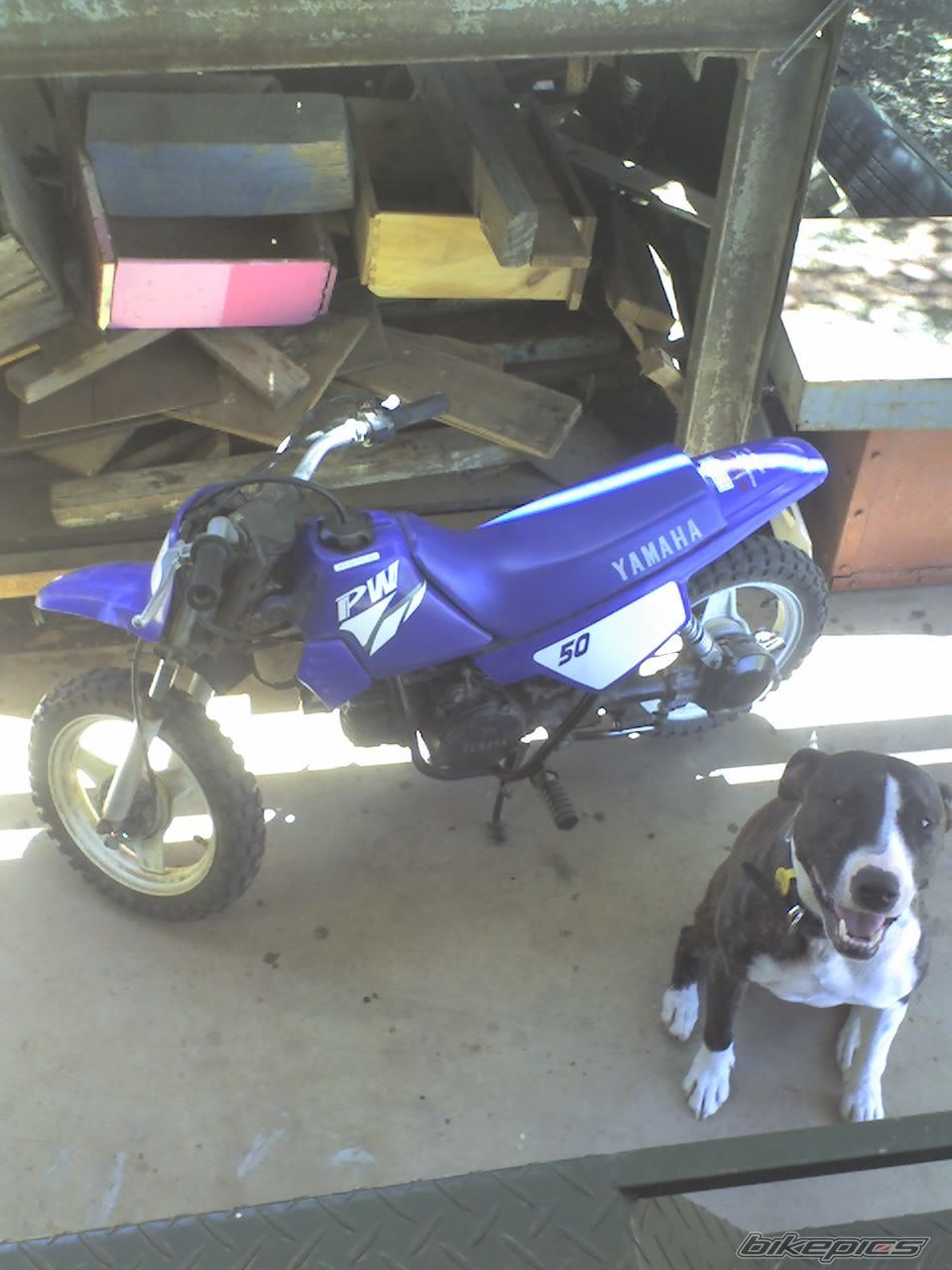 Photo 1143507