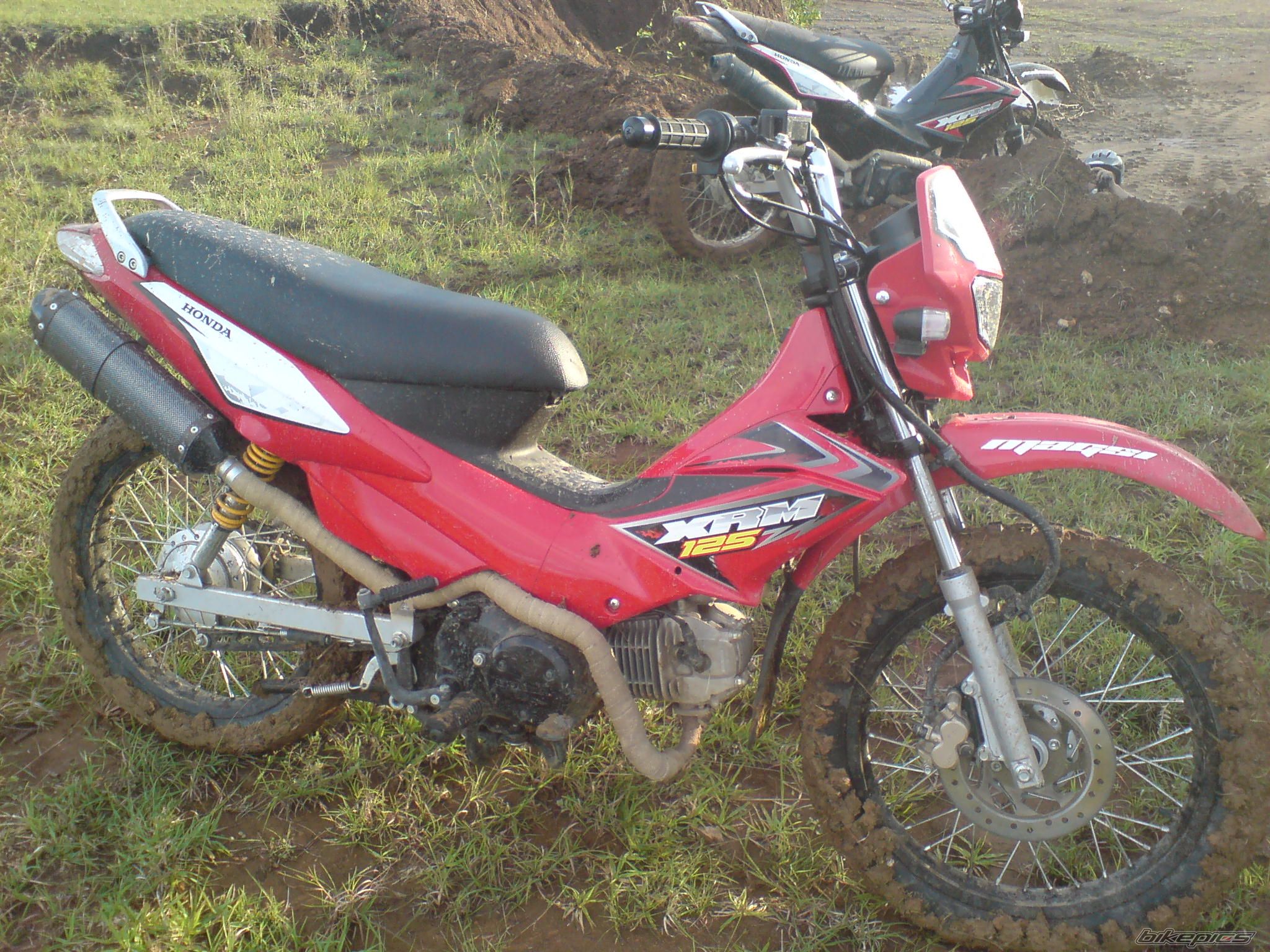 Photo 1143595