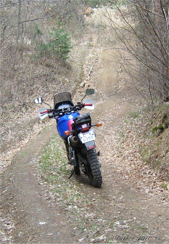 Bike Photo 1143741