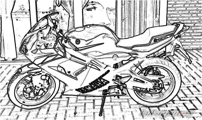 Photo 114383