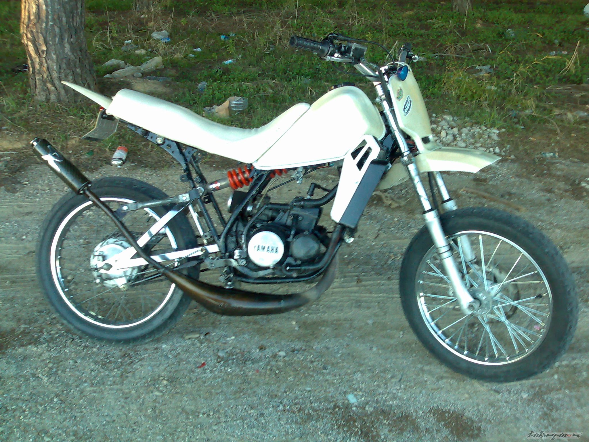 Photo 1143935