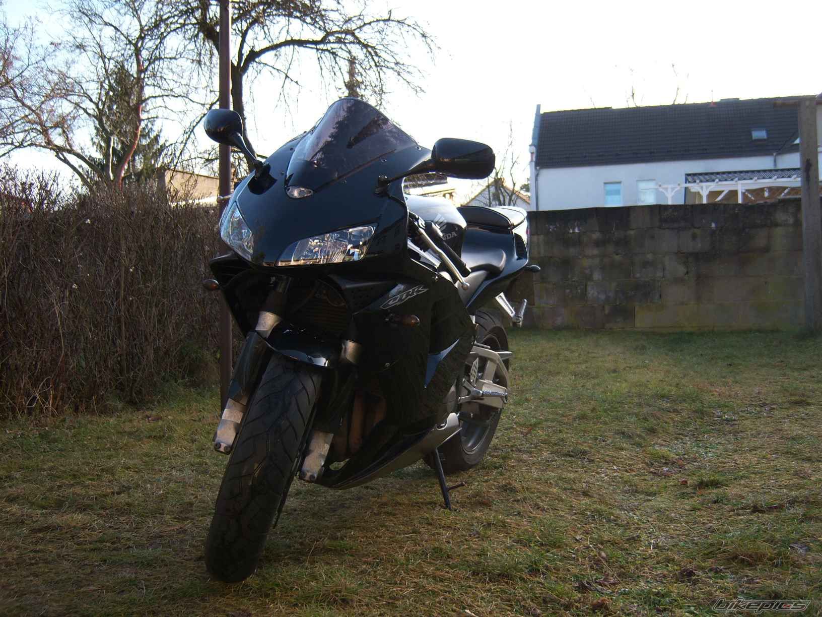 Photo 1143962