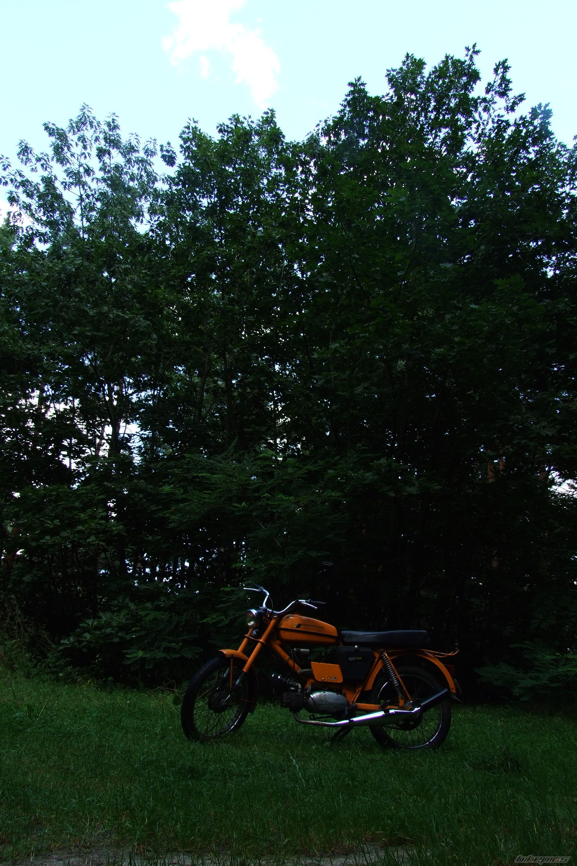 Photo 1144187