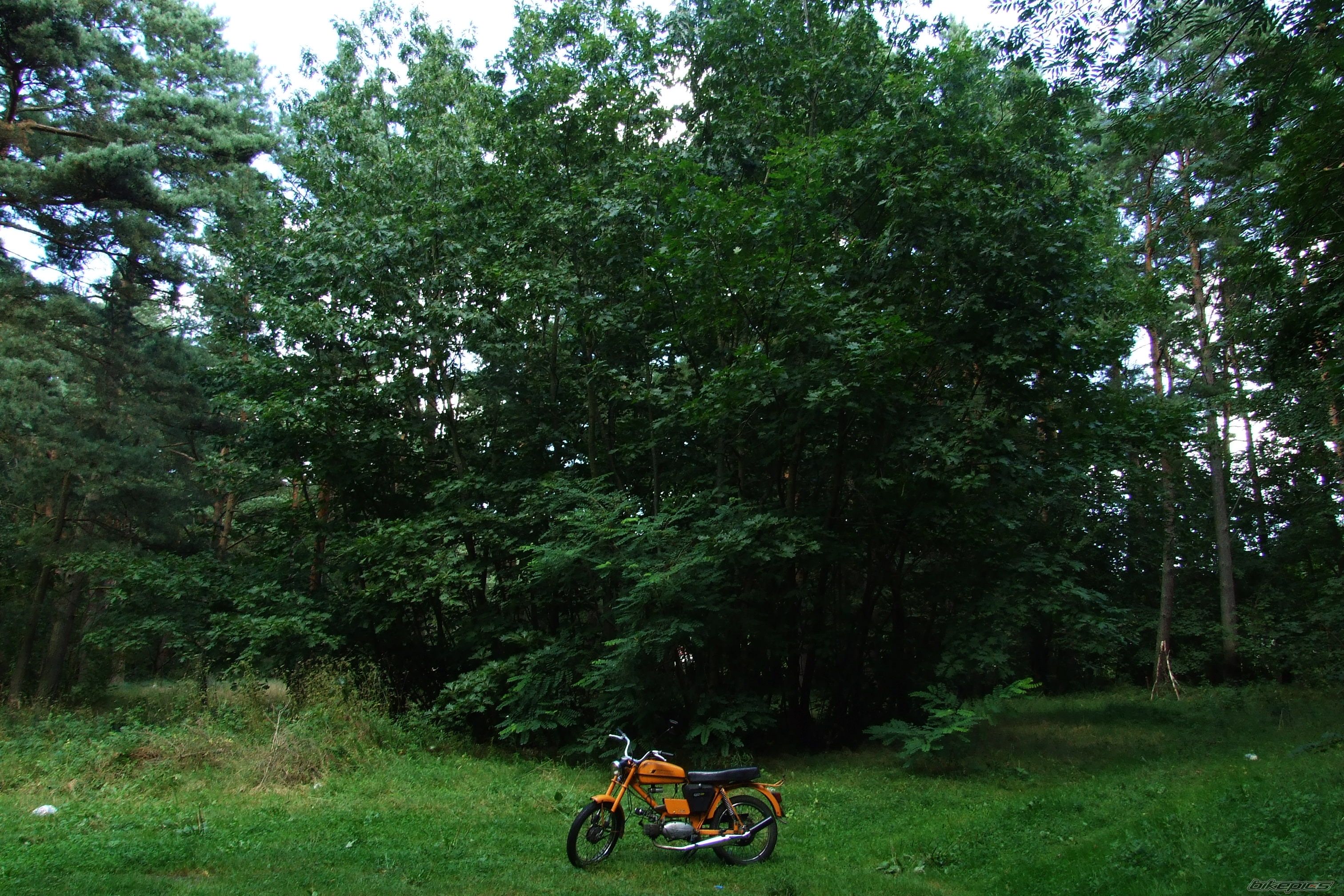 Photo 1144191