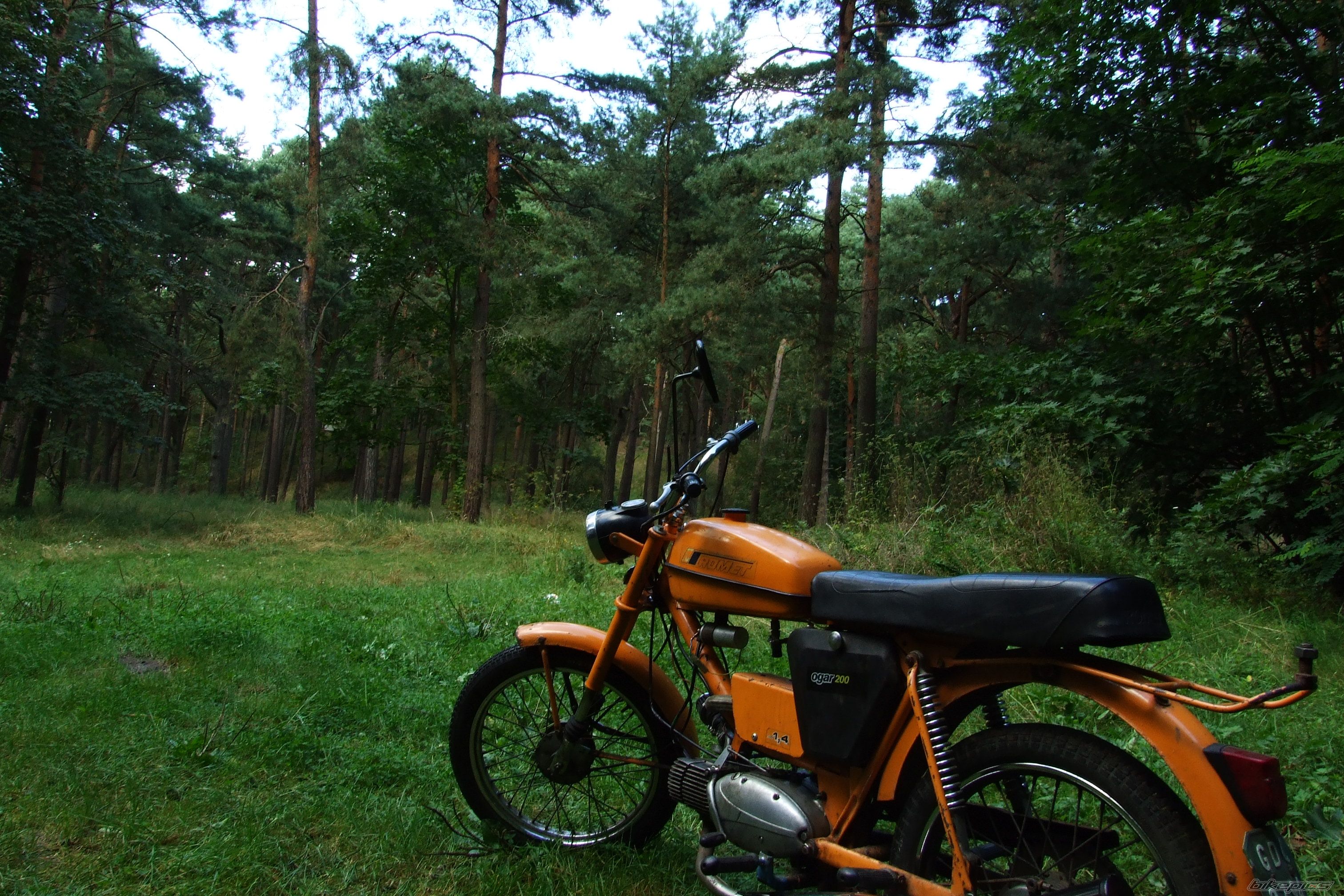 Photo 1144194