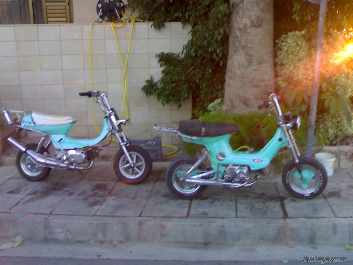 Photo 1144265