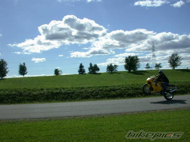 Photo 11443