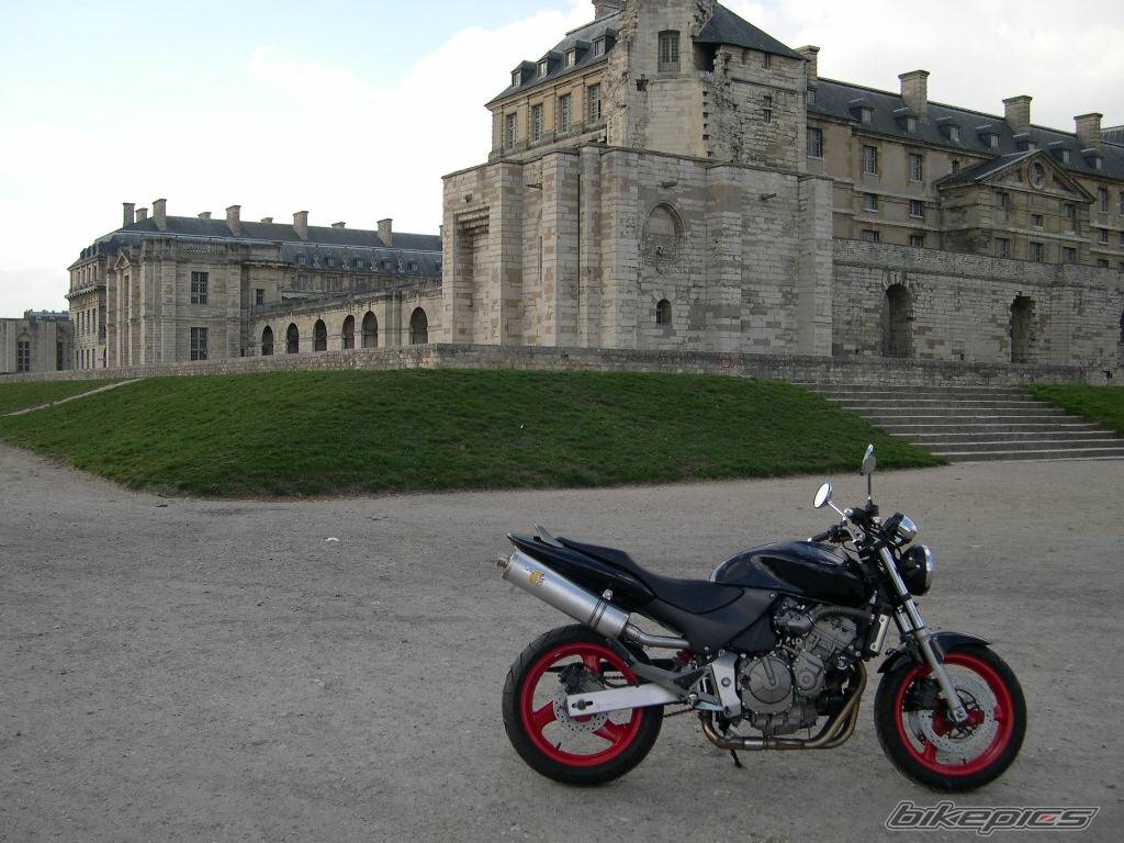 Photo 114431