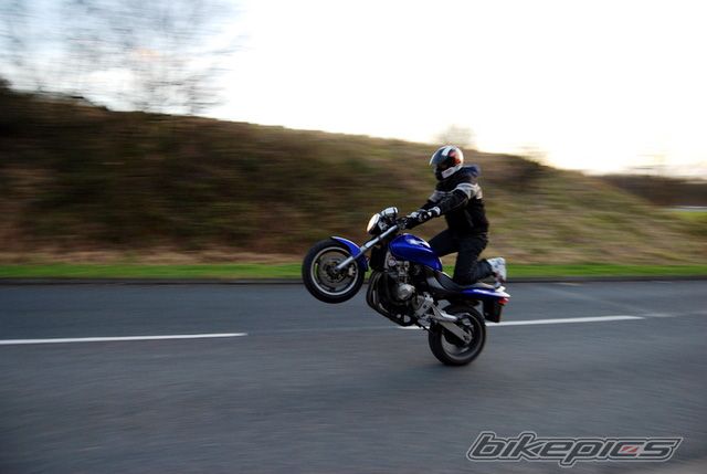 Photo 1144548