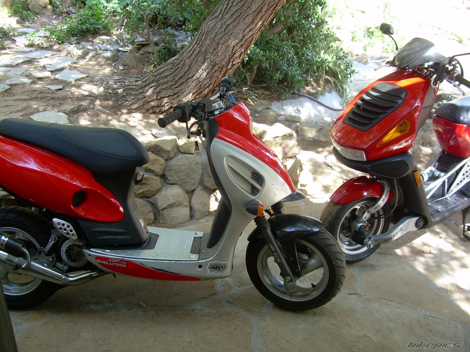 Photo 1144557