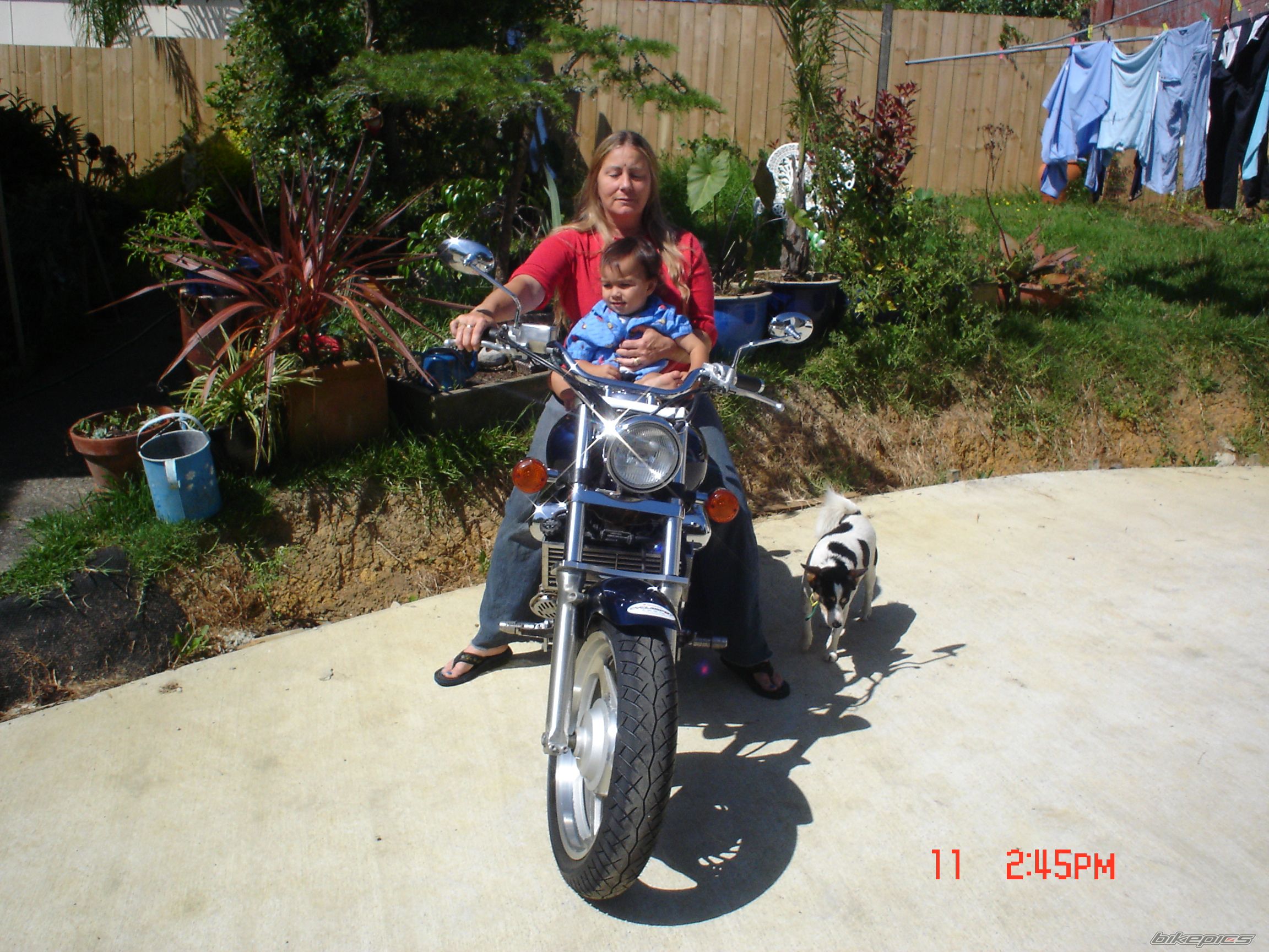 Photo 1144585