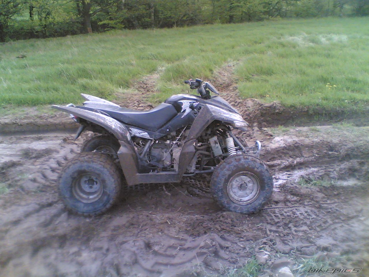 Photo 1144652