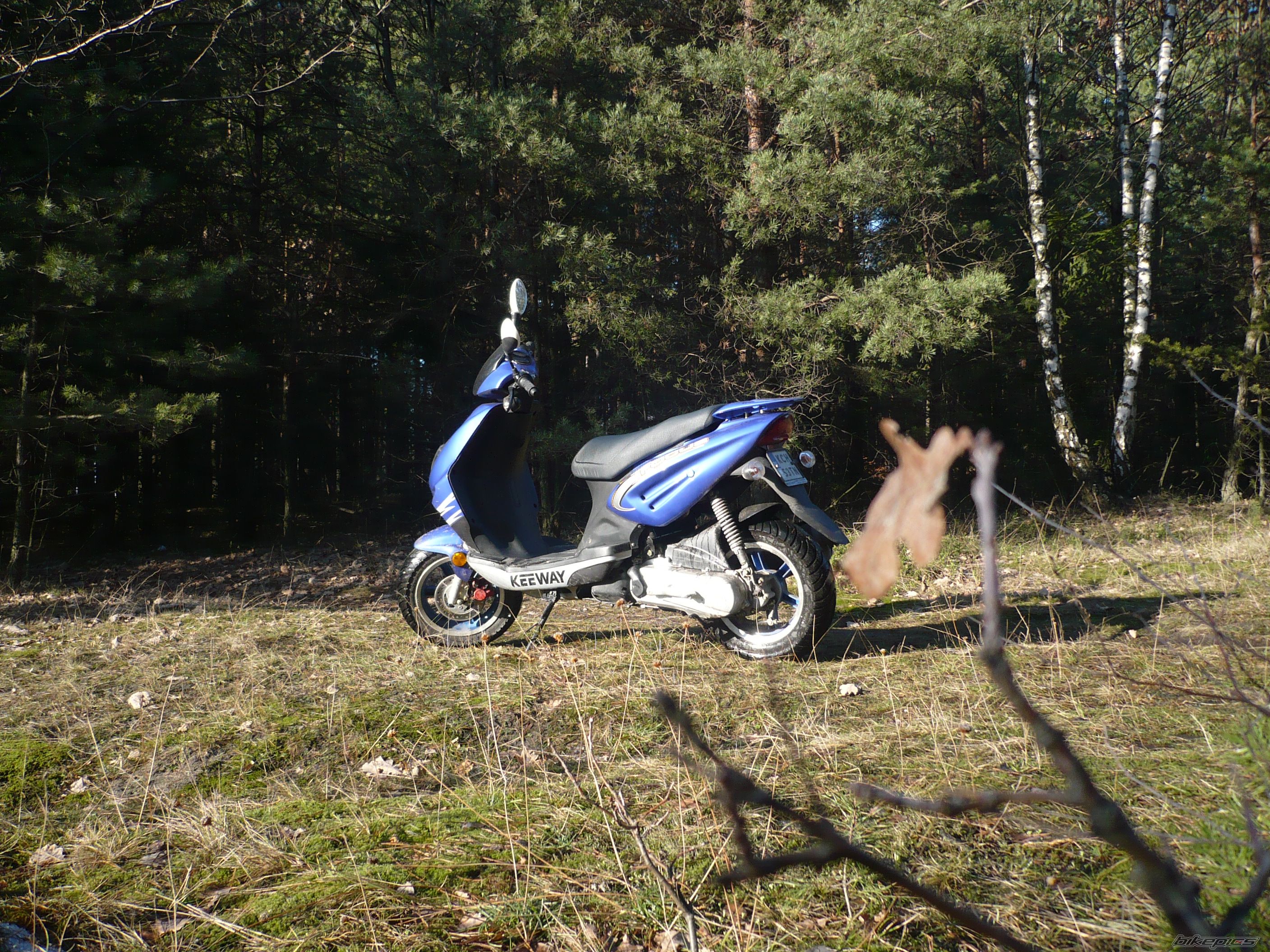Photo 1144875