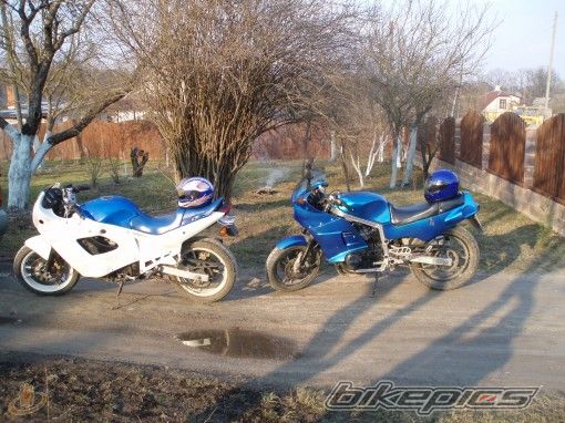Photo 1144883