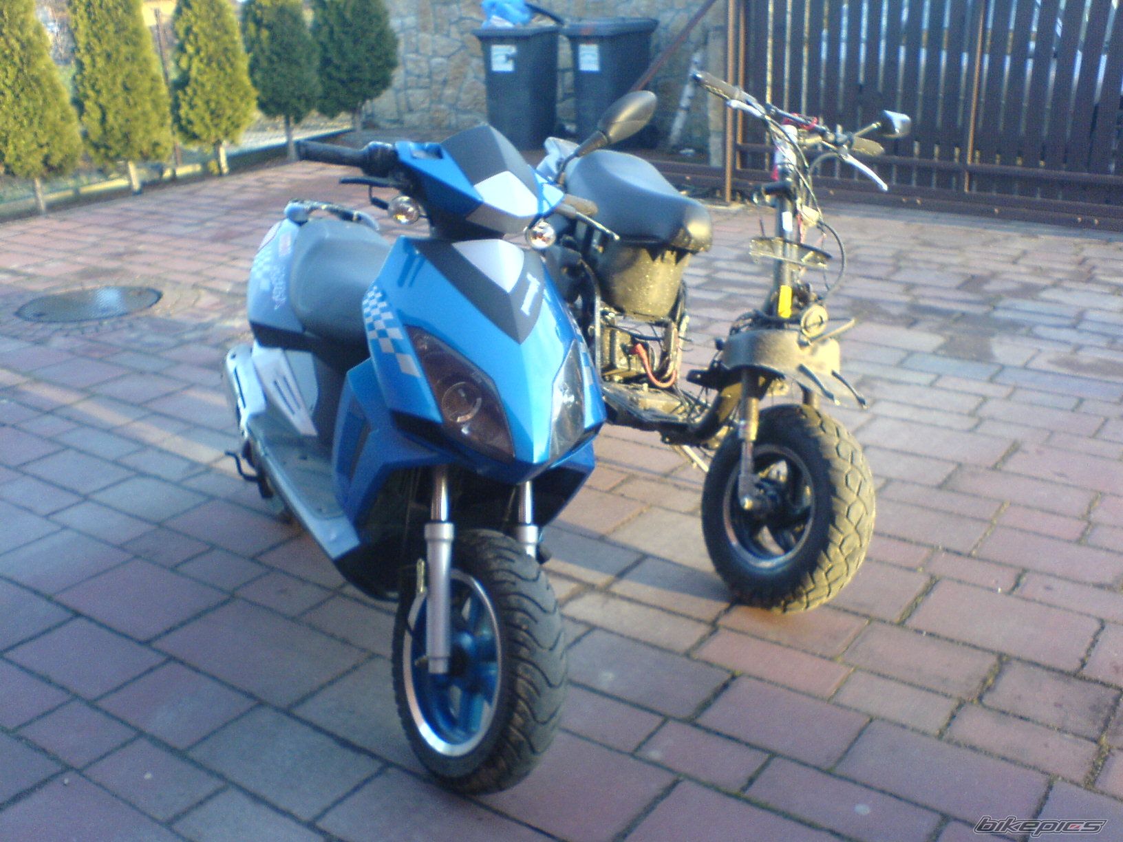 Photo 1145010