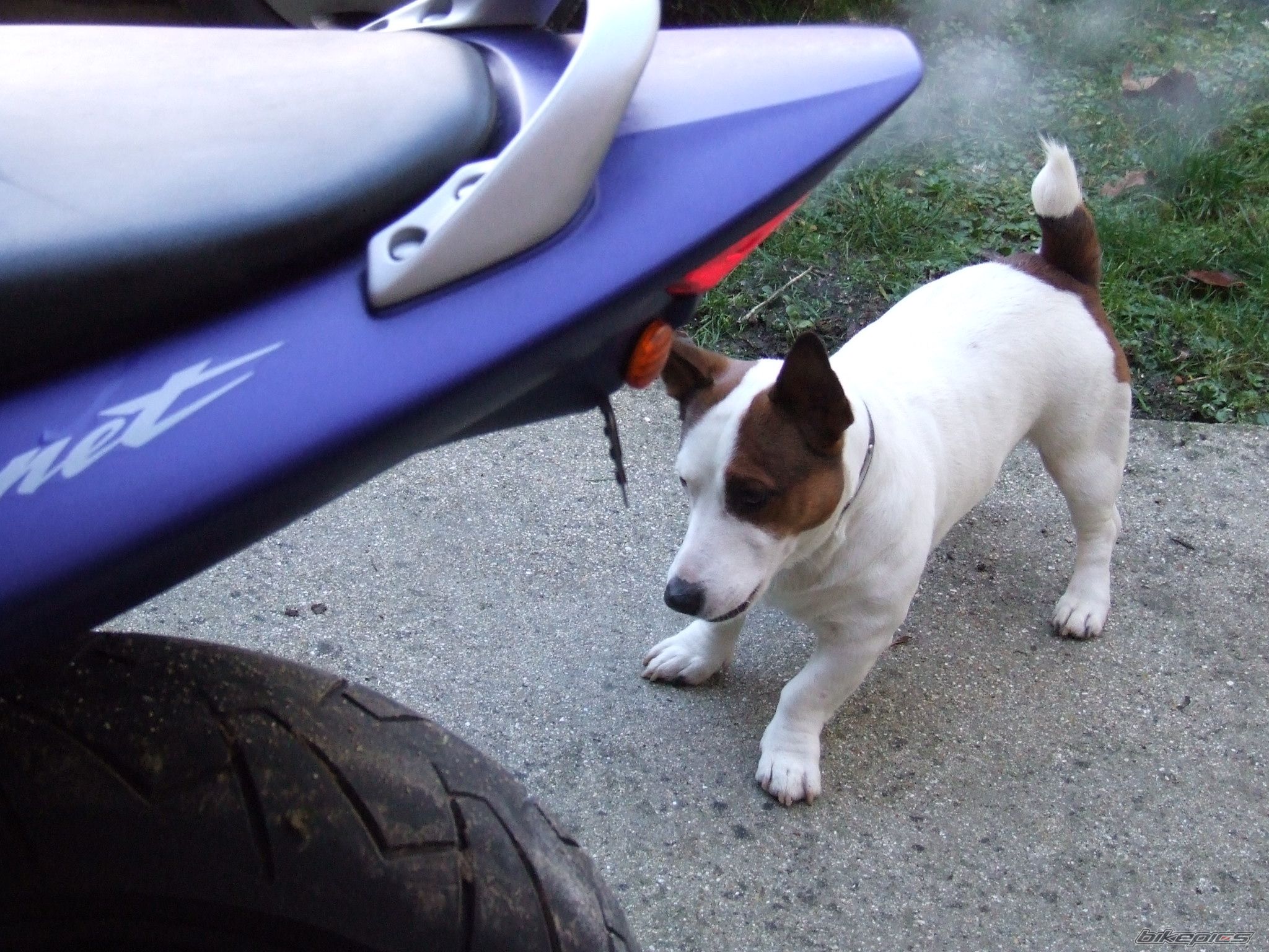 Bike Photo 1145016