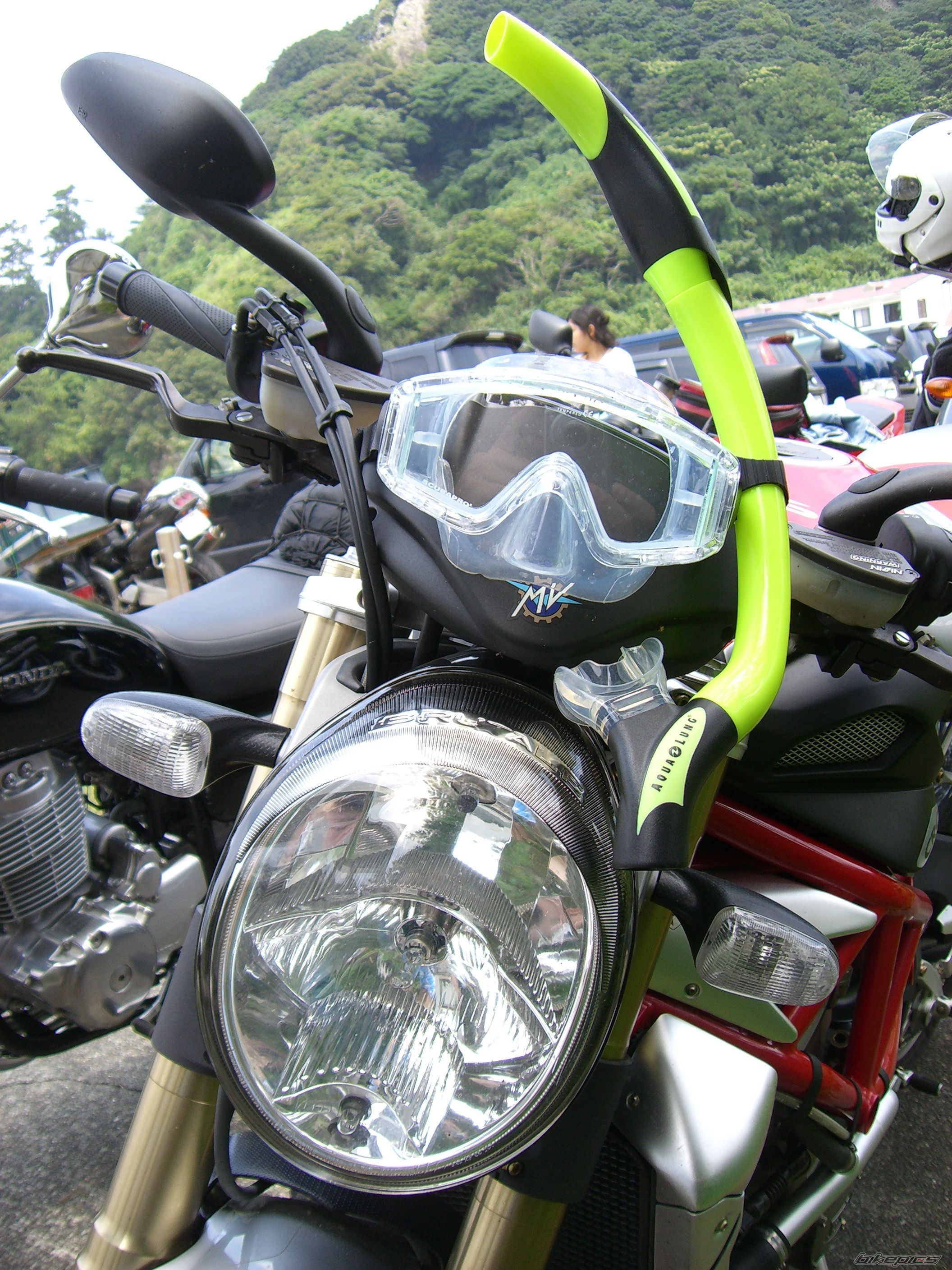 Photo 1145037