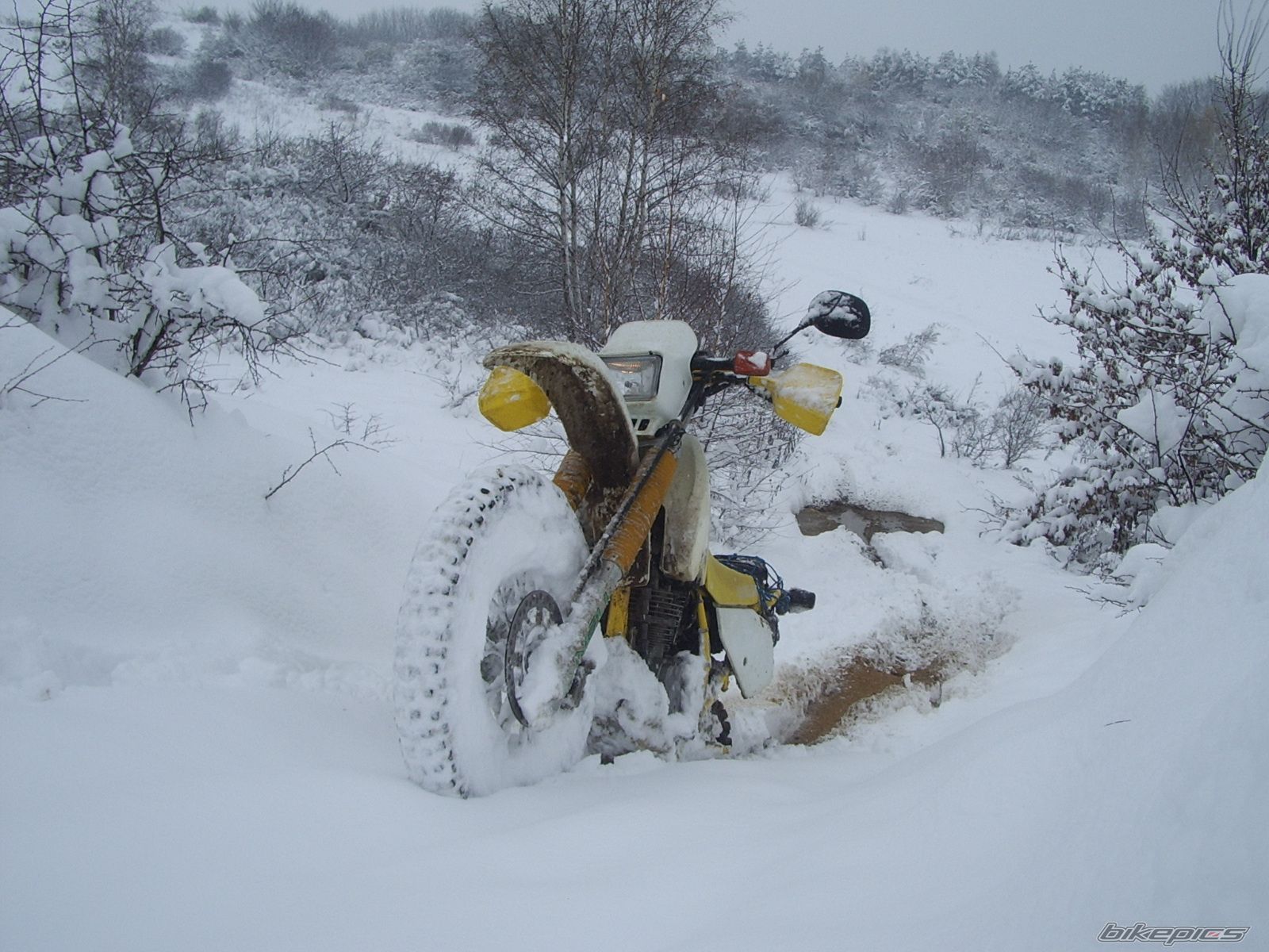 Bike Photo 1145042