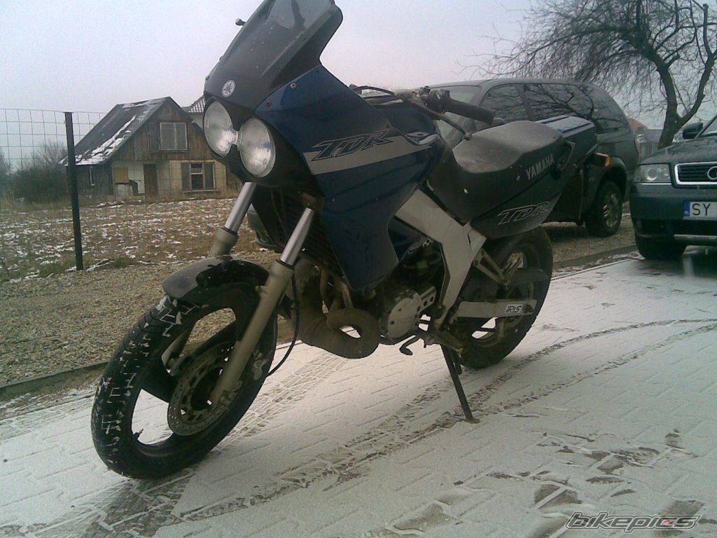 Photo 1145062