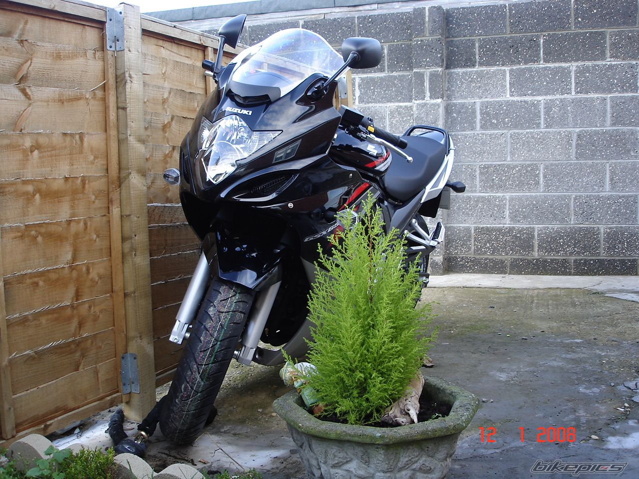 Photo 1145109
