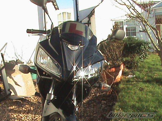 Photo 1145166