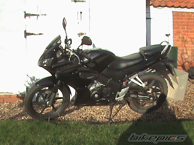 Photo 1145167