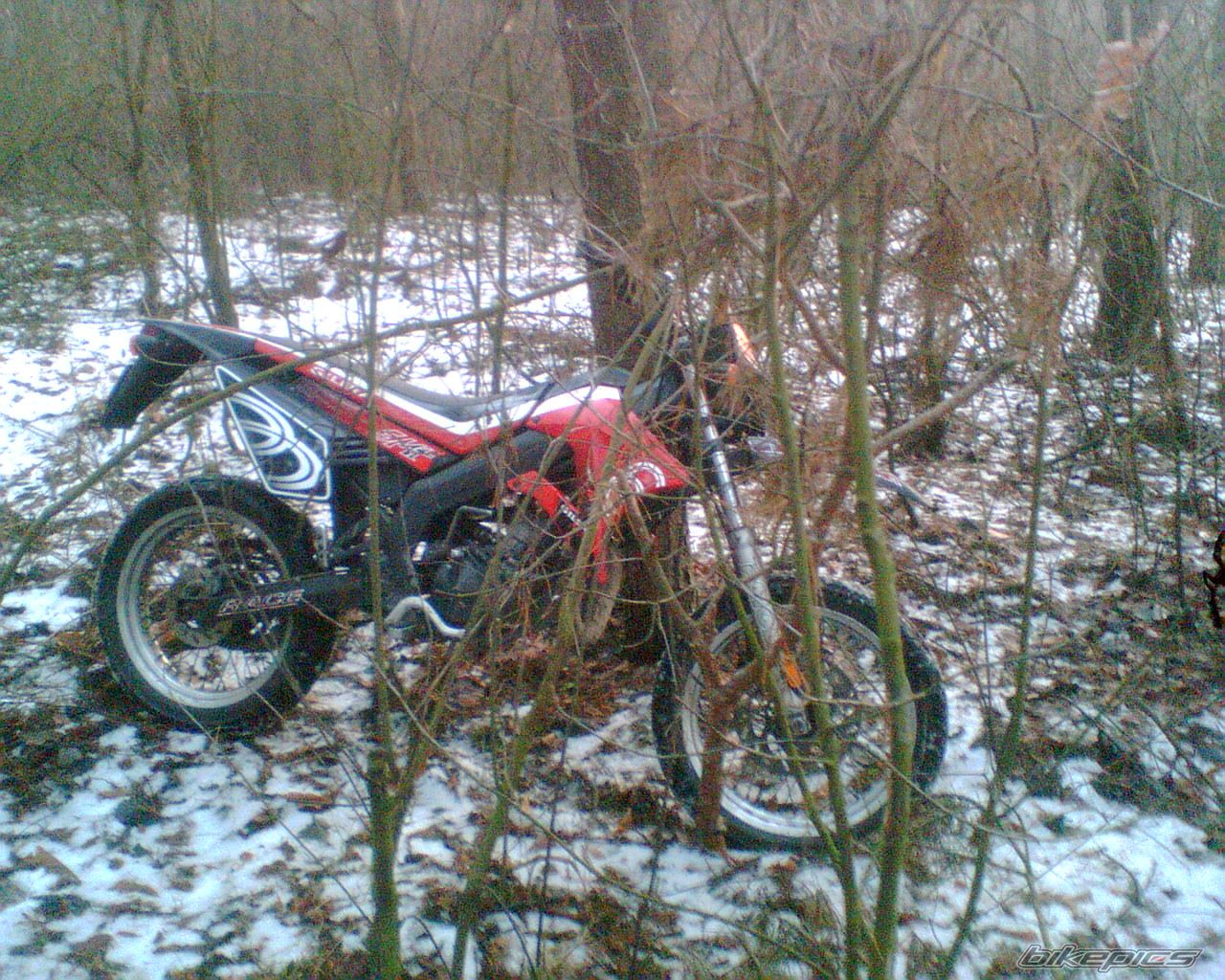 Bike Photo 1145234