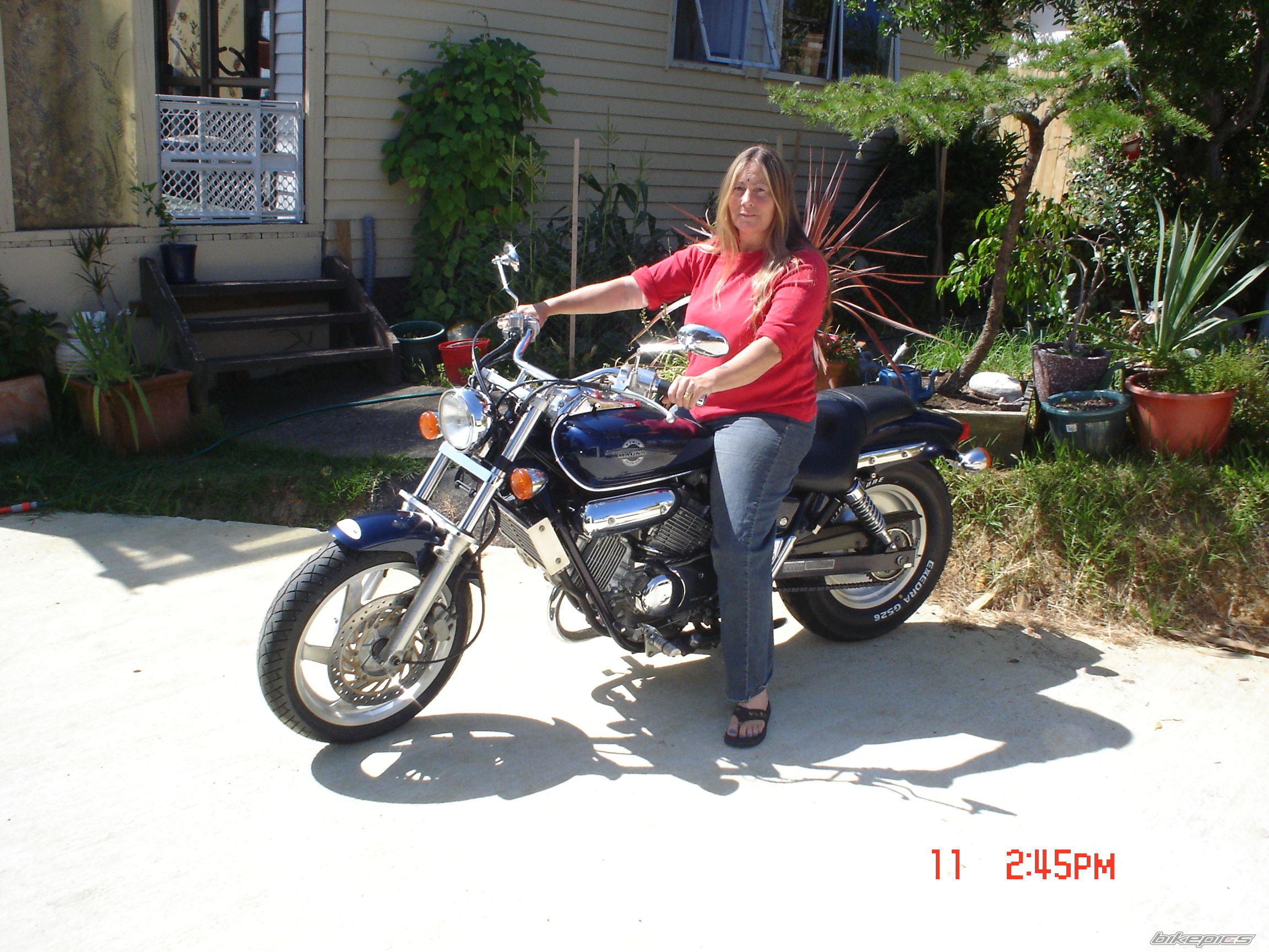 Photo 1145394
